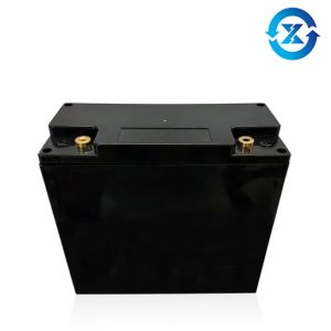 Customized Black Box 1C 10Ah 24V LiFePO4 Batteries