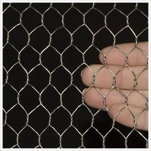 PVC Coated Hexagonal Wire Mesh Poultry Fencing Chicken Coop Cages Ant i