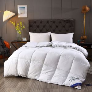 Cheap Hilton Duvet Double Spring Autumn Winter Quilt Core and Hot Style for Micro-Business for sale