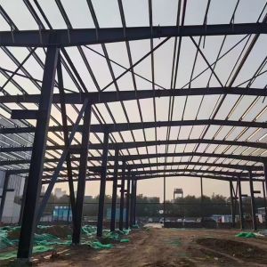 Customized Prefabricated Metal Building Kits Light Steel Structure Barndominium