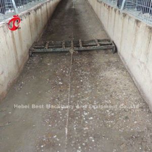 Manure Removal Machine With 2 Or 3 Scrapers For Automatic Manure Cleaning System