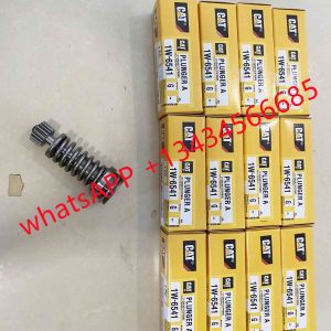 4P-9830 Diesel Fuel Engine Part Plunger Common Rail Plunger 1W-6541 Diesel