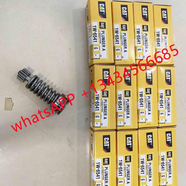 4P-9830 Diesel Fuel Engine Part Plunger Common Rail Plunger 1W-6541 Diesel