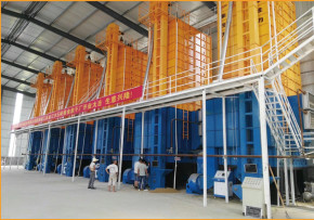 Quality Batch Type 210 Tons Vertical Paddy Dryer Machine Manual Control wholesale