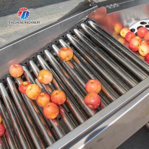 Connected Pipeline Jujube Fruit Sorting Machine Multifunctional