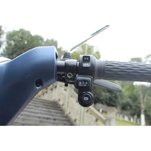 Blue color 60v32Ah battery 2 person capacity three wheel electric scooter with