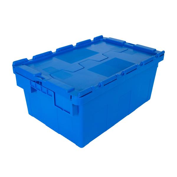 Solid Box Style PP Plastic Crate for Cold Chain Logistics and Clothes Transporta