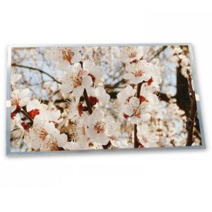 AT050TN34 V.1 online one-stop shopping 5 inch industrial control lcd display 480*272 in stock lcd screen module