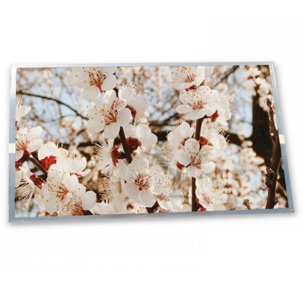 Quality LTM10C321F Online One-stop Shopping 10.4 Inch  Lcd Display 1024*768 in Stock Lcd Screen Module wholesale