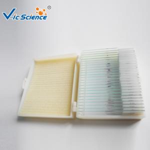 Cheap Beginners Microscope Glass Slides 12 Pcs Prepared Microscope Slides Set for sale