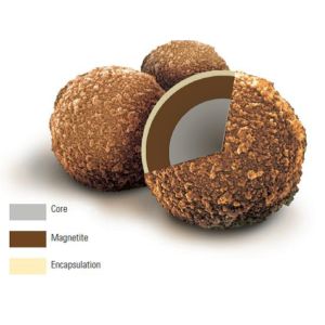TORCH Cytomegalovirus IgG(CMV IgG) Reagents for Automatic Immunoassay Analyzer