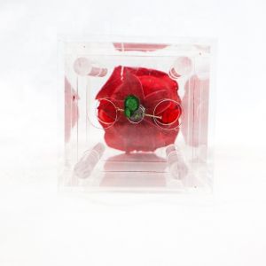 Decorative Beautiful Preserved Rose Flower With No Pollen / No Allergy