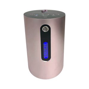 Household Hydrogen Breathing Machine Oxygen Hydrogen Generator Inhalation