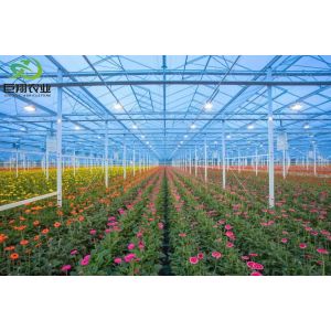 Customized Request Spray Cooling Planting House for Seedlings Steel Structure