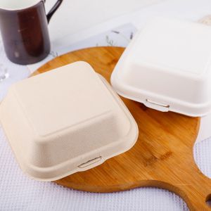 custom biodegradable sugar cane bagasse donut pastry cake packaging food