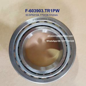 F-603903.TR1PW Automobile Differential Bearings 53.975X104.775X36.512mm Non-standard Taper Roller Bearings