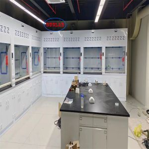 Low-Noise Chemical Fume Hood Lab Fuming Hood with PP Design Safe Laboratory