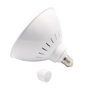 Inground Pool E26 3325lm Pentair Color Pool Light