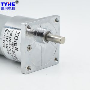 D37mm 3 Volt 6V 0.5w 10kg Cm Micro DC Gear Motor 25Rpm 1000rpm Low Noise