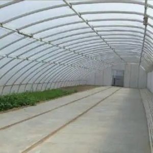 2000.000kg Tomato and Cucumber Cultivation Sunlight Greenhouse Solution with