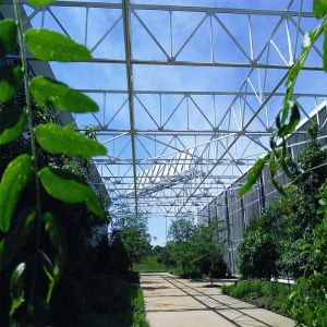 Horizontal Vertical Metallic Single Span Greenhouse Solar System