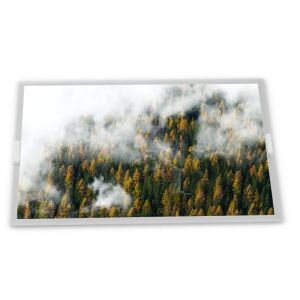 KCG047QVLAF-G040 320*240 Resolution ODM Custom 4.7-Inch WLED LCD Display Module