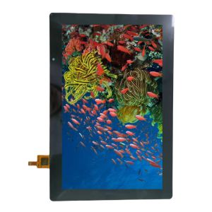Optical Bonding 10.1 inch TFT LCD Industrial G+G Touch Panel with Ultra-Slim 4