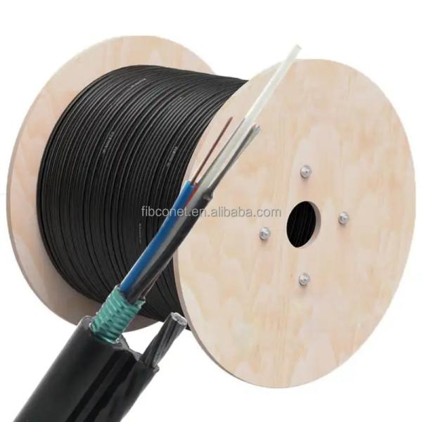 Waterproof GYTC8S 24 Core Armored Self-Supporting Optical Cable for Outdoor Networks