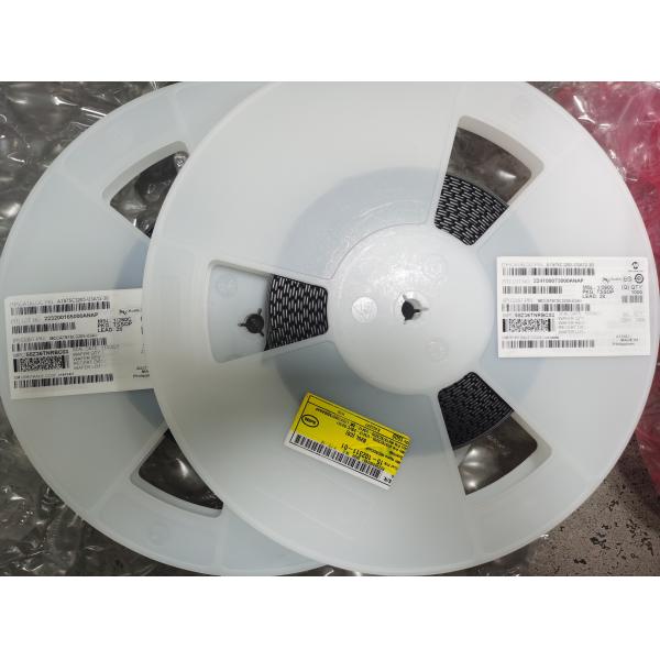 AT97SC3205-U3A12-20 Microchip Security ICs Authentication ICs TPM SPI C8 RevF