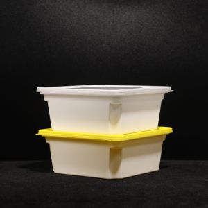 China Disposable Leak Proof PP Lunch Box Customized For Hot Dog Packaging on sale