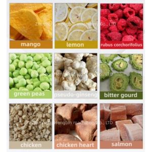 High Productivity Industrial Vacuum Freeze Drying Machine with 200kg per Batch