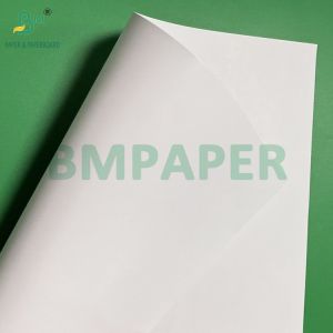 120g C1S Coated One Side Gloss Paper 68cm 110cm Roll Width