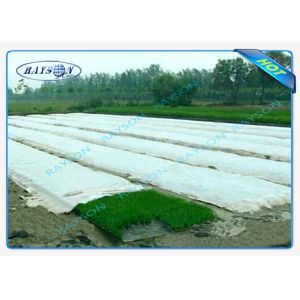 China Durable Eco - Friendly Garden Weed Control Fabric Farm Mulch Film Use Agriculture Non Woven Cover on sale