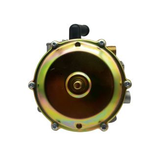 Cnc Lpg Auto Converter Kit 12v Fuel Pressure Regulator Ngv Carburator Regulators