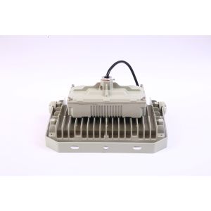 AC100-277V VOLTAGE 50W AND IP66 PROTECTION LEVEL EXPLOSION PROOF LED FLOOD LIGHT