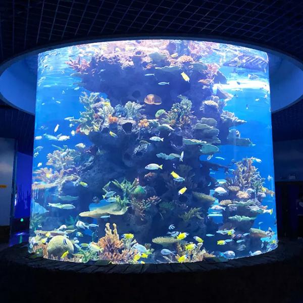 Aquarium Project Construction Large Fish tank Custom Manufacturers Aquarium