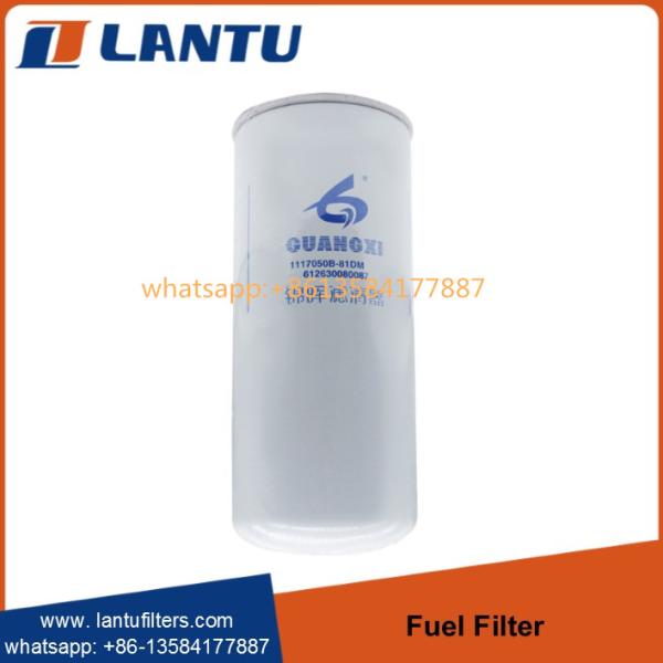 Quality Lantu Fuel filter 612630080087 R010018 FF5740 1000422382 117050A81DM for WEI-CHAI WP10 engine wholesale