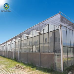 Skeleton 12m Flower Polycarbonate Greenhouse Heat Resistance