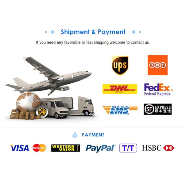 High Pressure Fuel Injection Pump 2644P501 For Engine 1106C-E60TA