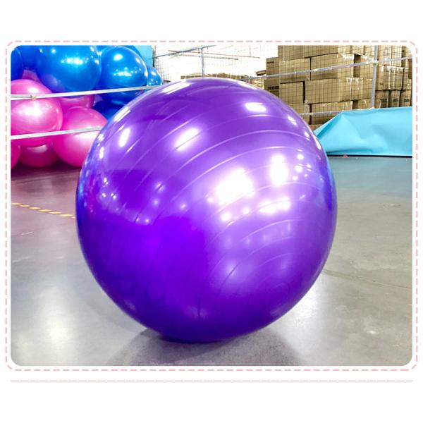 Gravity Heavy Duty Exercise Ball 75cm