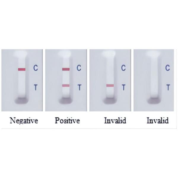 Virus PRV GB GE Swine Influenza Antibody Rapid Test Kit 50 Tests/Kit
