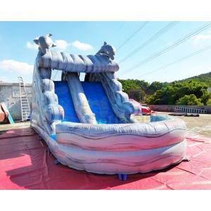 Water Park Plato Commercial Inflatable Slide With Pool