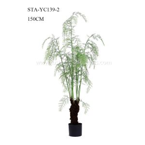 Realistic Artificial Fern Tree 150CM 210CM Tropical Plant Cost Effective Long