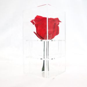 Decorative Beautiful Preserved Rose Flower With No Pollen / No Allergy
