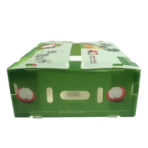 Fruit Vegetable Packing PP Cartonplast Grapes Packing Boxes Plastic Broccoli