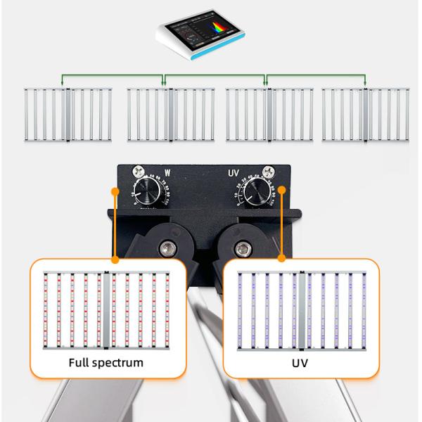 Quality Hot 2 Way Dimming Plant Growth Lights Indoor Hydroponic Lm281b Lm301h Evo Full Spectrum UV IR 10 Bbar 1000W Led Grow Light wholesale