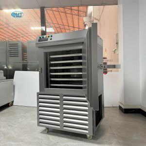 Cheap Vegetables Fruit Shrimp Tunnel Quick Freezer Quick Frozen Iqf Tunnel Blast Freezer -80C to 0C Temperature Control 220V for sale