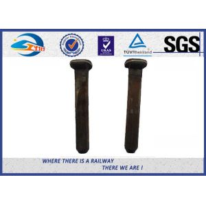 Dacromet / Sherardizing Railway Sleeper Screw dog Track Spikes