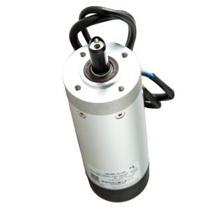 24V DC Servo Motor with 41RPM and 6A Continuous Current for Swing Barrier Gate