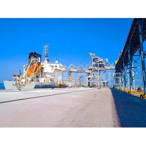 Bulk Cement Ship Loader Environmental Protection Excellent Performance